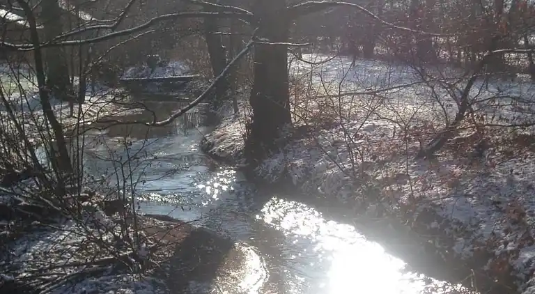 Sommerhus i Lesterny