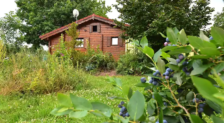 Vakantiehuis in Niederaula