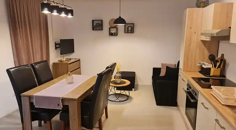 Two bedroom apartment with terrace and sea view Neviđane,