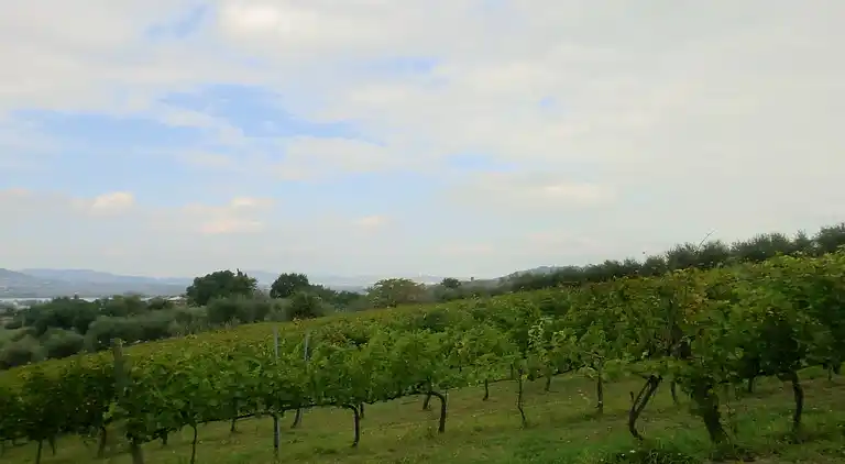 Casa vacanze in Piegaro