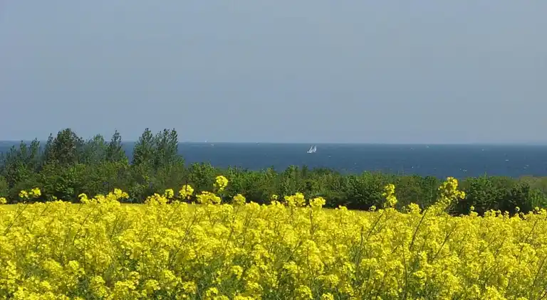 Ferielejlighed i Proseken