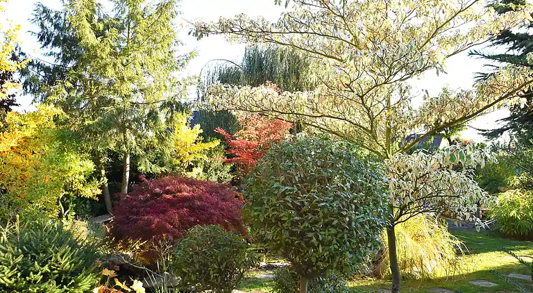Ferienwohnung in Bad Zwesten