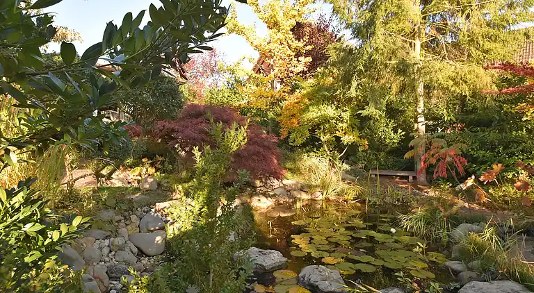 Ferienwohnung in Bad Zwesten