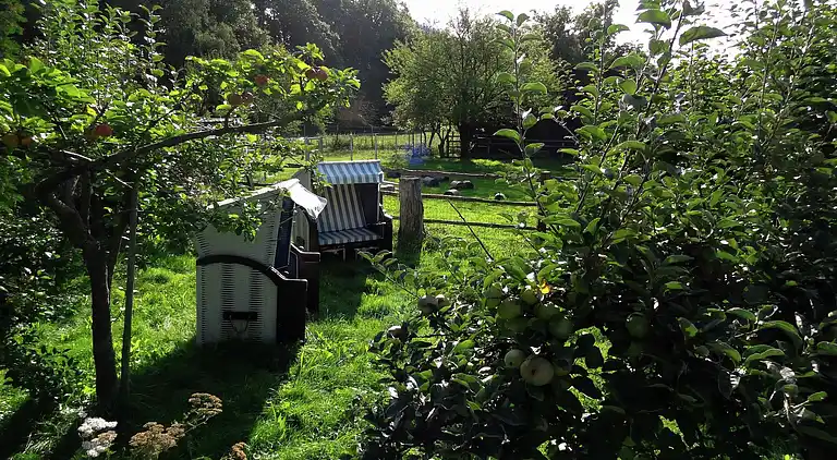 Holiday home in Wenzigerode