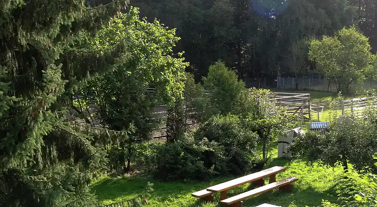 Holiday home in Wenzigerode