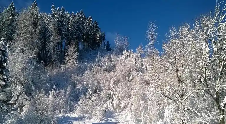 Sommerhus i Riefensbeek-Kamschlacken