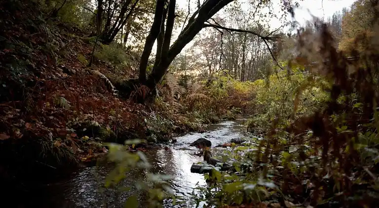 Apartment in Northern Germany