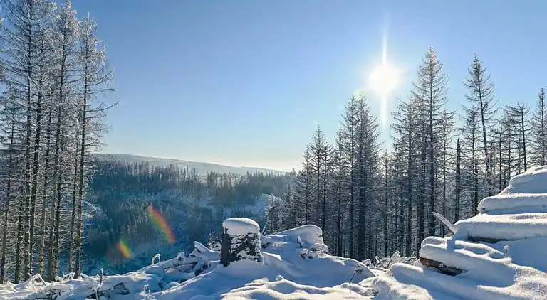 Apartment in Northern Germany
