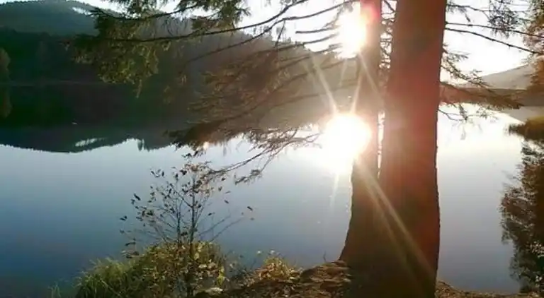 Sommerhus i Riefensbeek-Kamschlacken