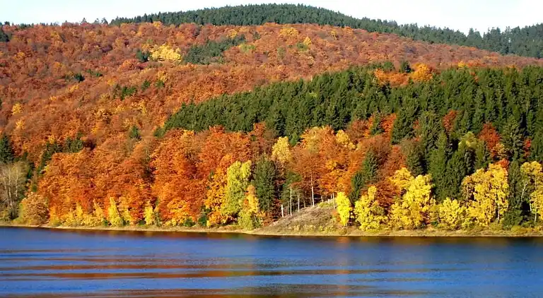 Sommerhus i Riefensbeek-Kamschlacken