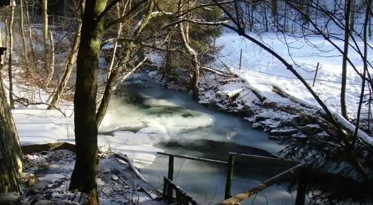 Apartment in Northern Germany