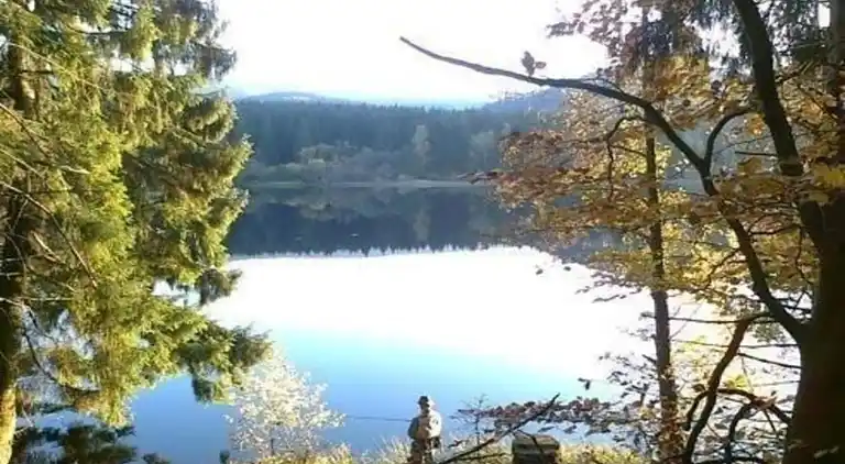 Sommerhus i Riefensbeek-Kamschlacken