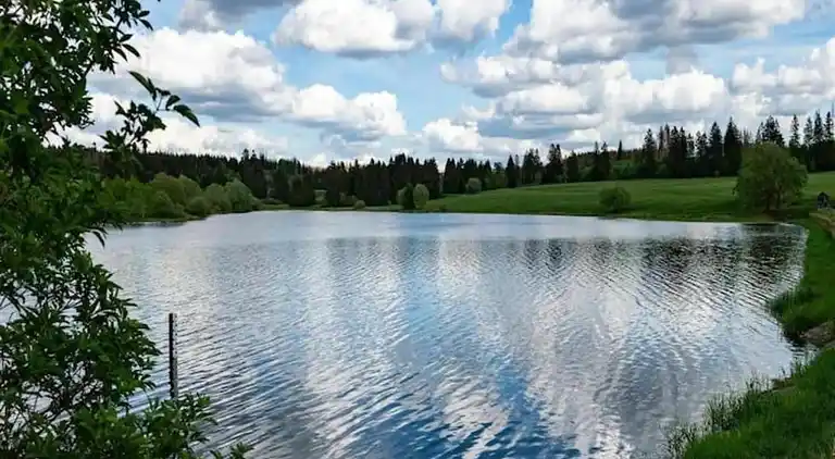 Apartment in Northern Germany