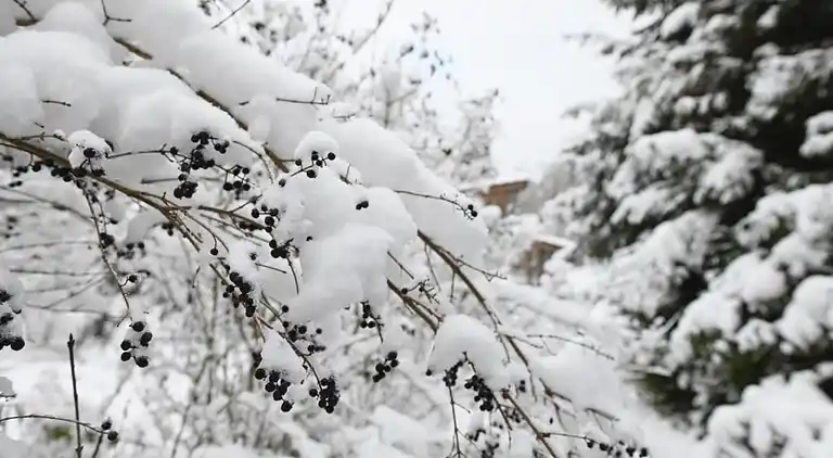 Apartment in Northern Germany