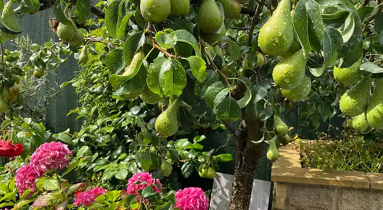 Private flat in Wrose, Shipley, Bradford