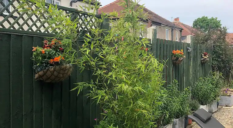 Private flat in Wrose, Shipley, Bradford