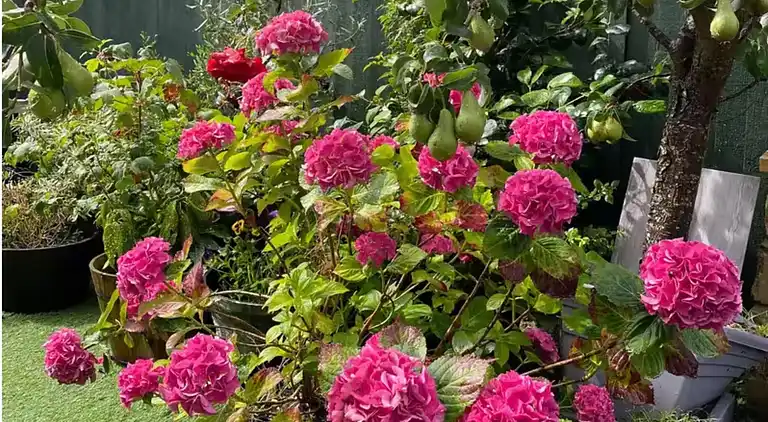 Private flat in Wrose, Shipley, Bradford