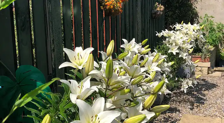 Private flat in Wrose, Shipley, Bradford