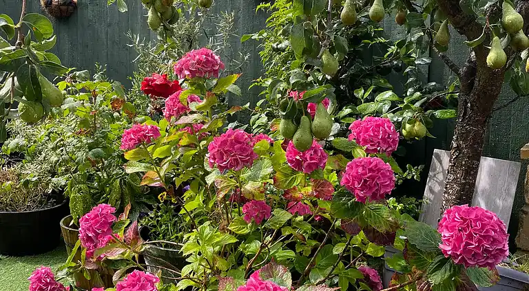 Private flat in Wrose, Shipley, Bradford