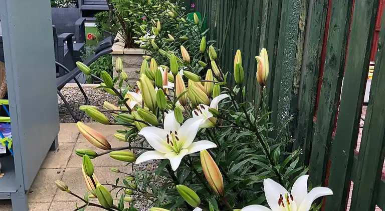 Private flat in Wrose, Shipley, Bradford