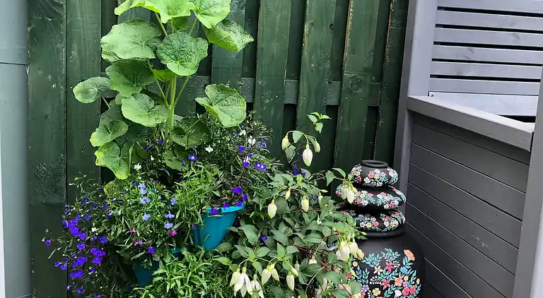 Private flat in Wrose, Shipley, Bradford