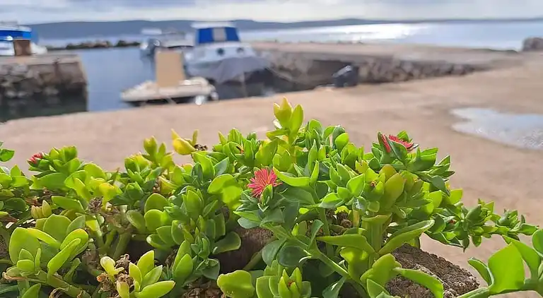 Two bedroom apartment with terrace and sea view Neviđane,