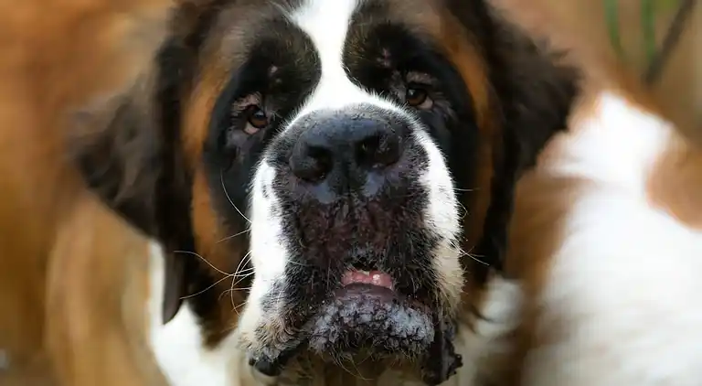 Cottage in Villanueva de la Concepción