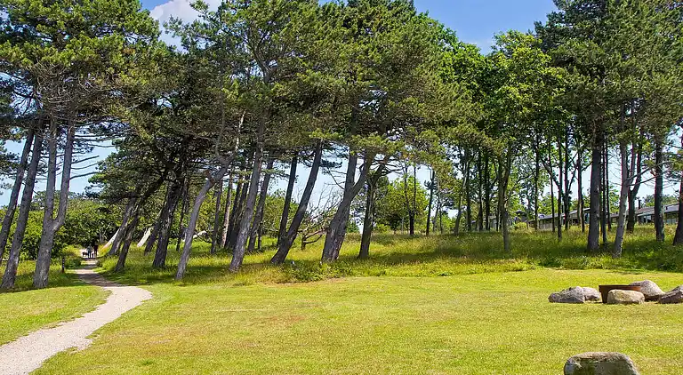 3 Z.,m/Teilweise Meerblick,Premium