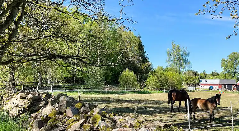 Holiday home in Ankarlöv