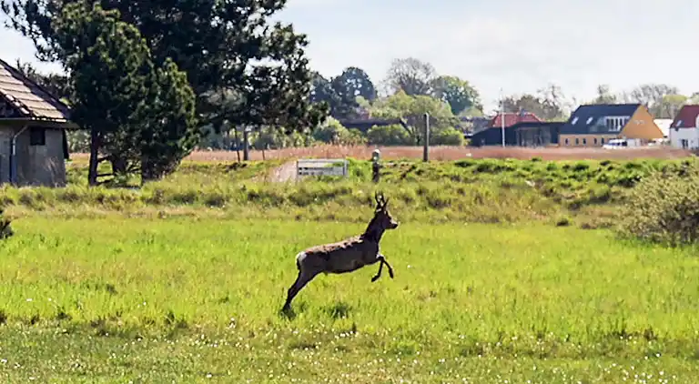 3 room,3a+2c,Family,Standard