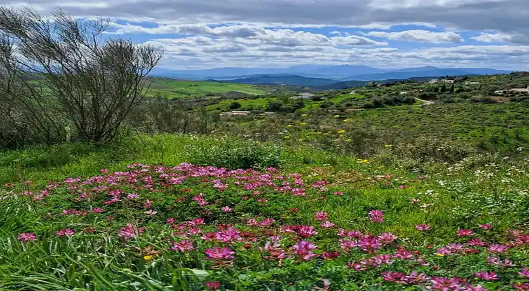 Hytte i Villanueva de la Concepción