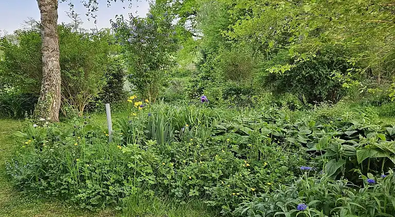 Feriebolig i Pionsat