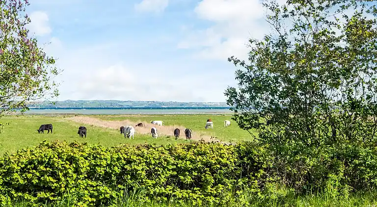 Holiday home in Knebel
