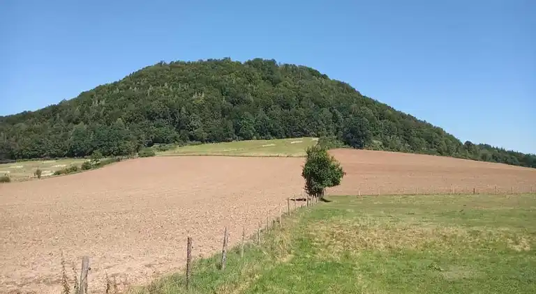 Apartment in Höxter