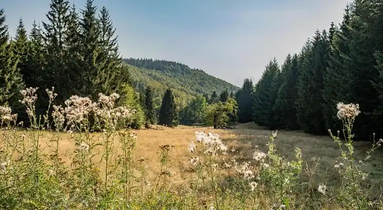 Apartment in Höxter