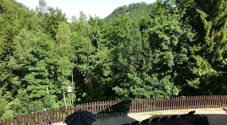 Apartment in Bad Harzburg