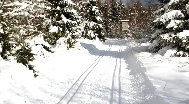 Sommerhus i Braunlage