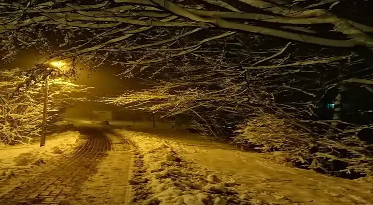 Holiday home in Wernigerode