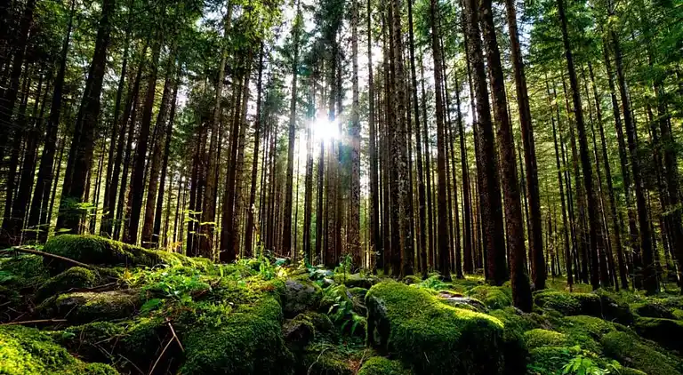 Holiday home in Wernigerode