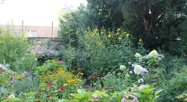 Holiday home in Wernigerode