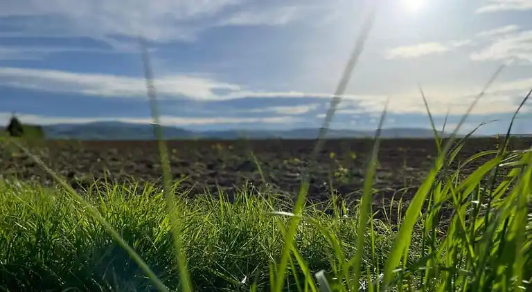 Holiday home in Wernigerode