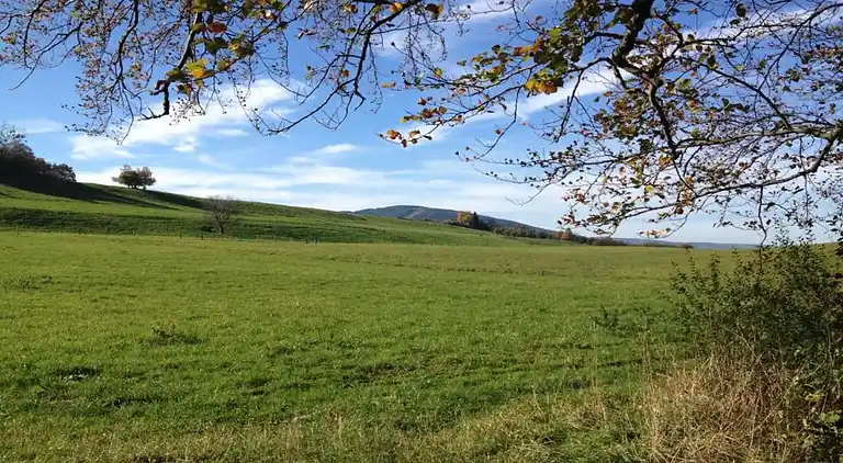 Holiday home in Wernigerode
