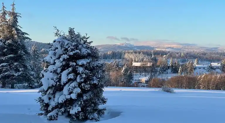 Sommerhus i Braunlage