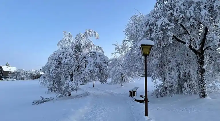 Sommerhus i Braunlage