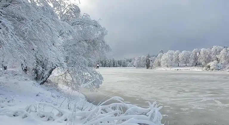 Sommerhus i Braunlage