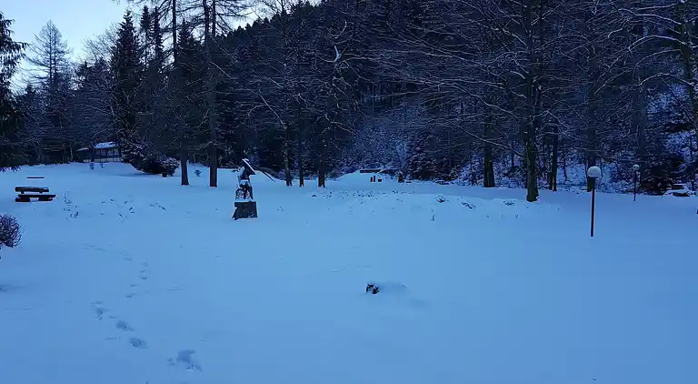 Apartment in Wildemann