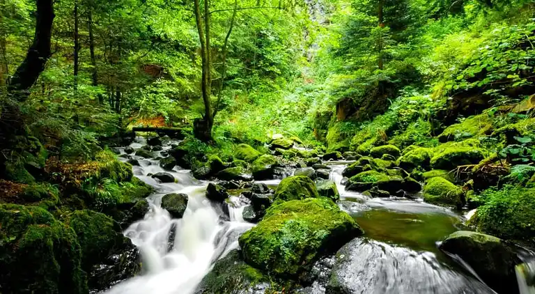 Holiday home in Wernigerode