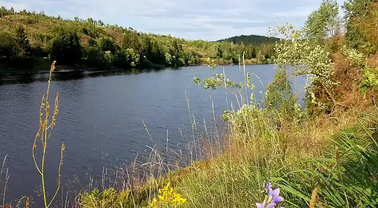 Holiday home in Königshütte