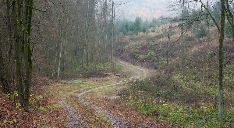 Apartment in Abbenrode