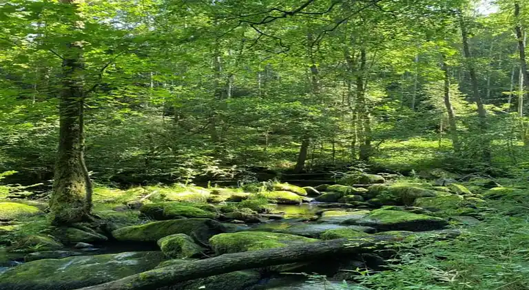 Ferielejlighed i Stocking